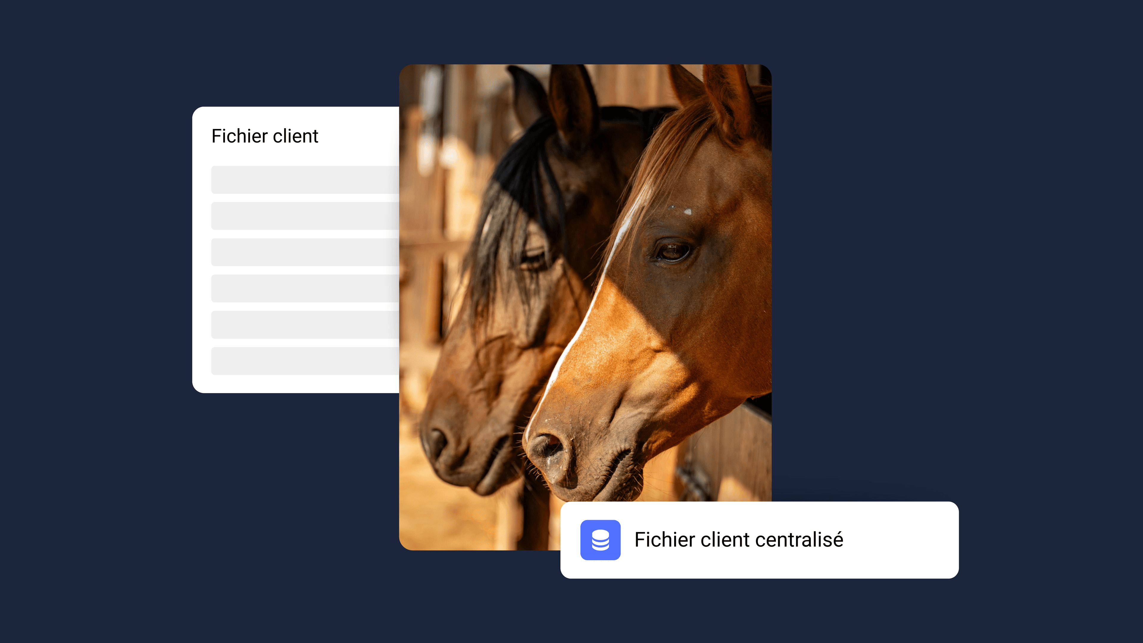 Gestion client